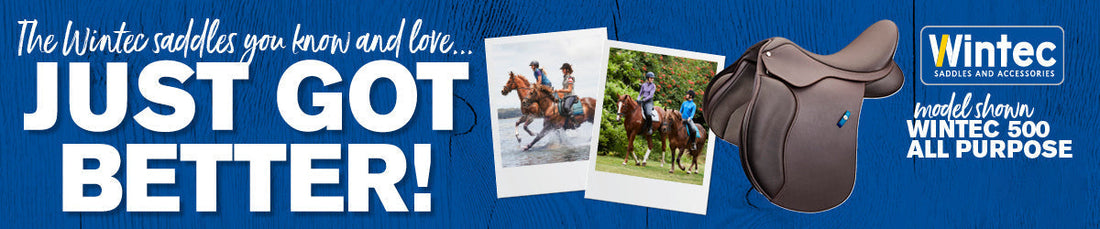 Wintec Saddle Just got better