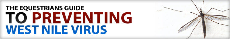 The equestrians guide to preventing west nile virus