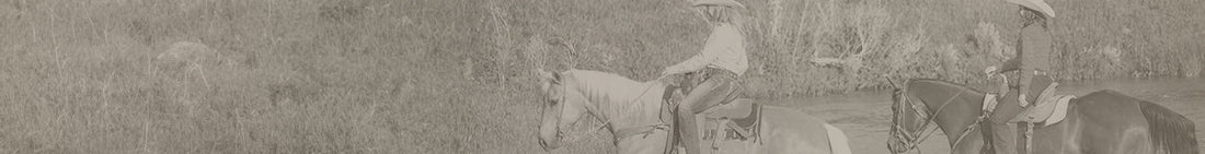Horse background