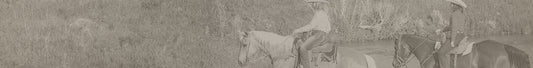 Horse background