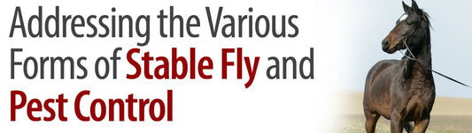 Addressing the various forms of stable fly and pest control