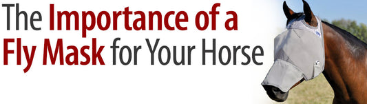 The importance of a fly mask for your horse