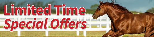 Limited Time Special Offers