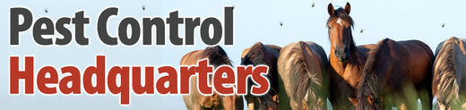 Pest Control Headquarters