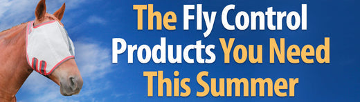 The Fly Control Products you need this summer