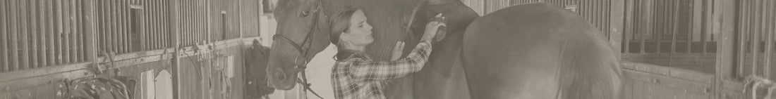 Horse Stable background image