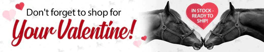 Valentine Gifts for Horse Lovers