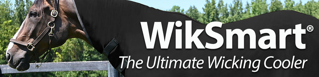 Wiksmart Cooler