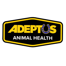 Adeptus
