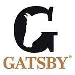 Gatsby®