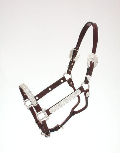 Royal King Raised Oval Show Halter