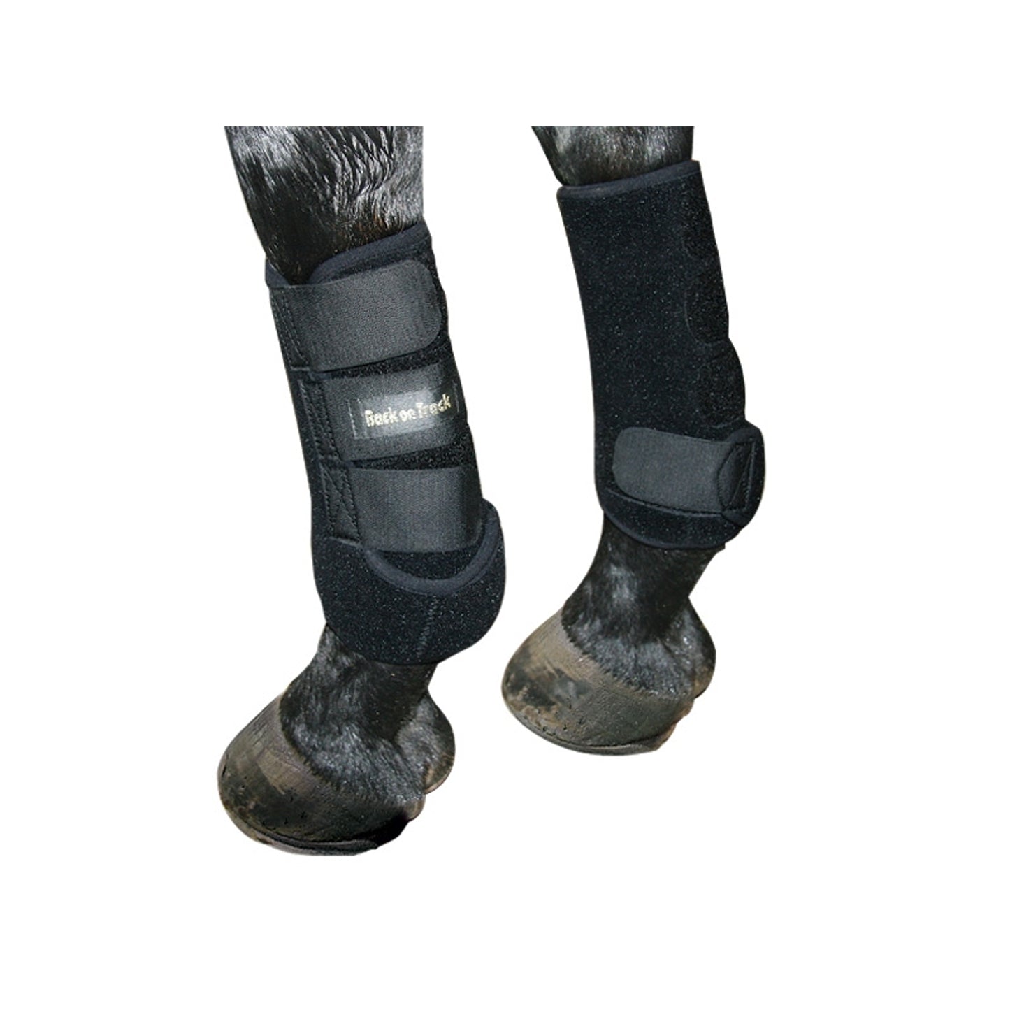 2044_exercisebootsforfrontleg_2_web.jpg