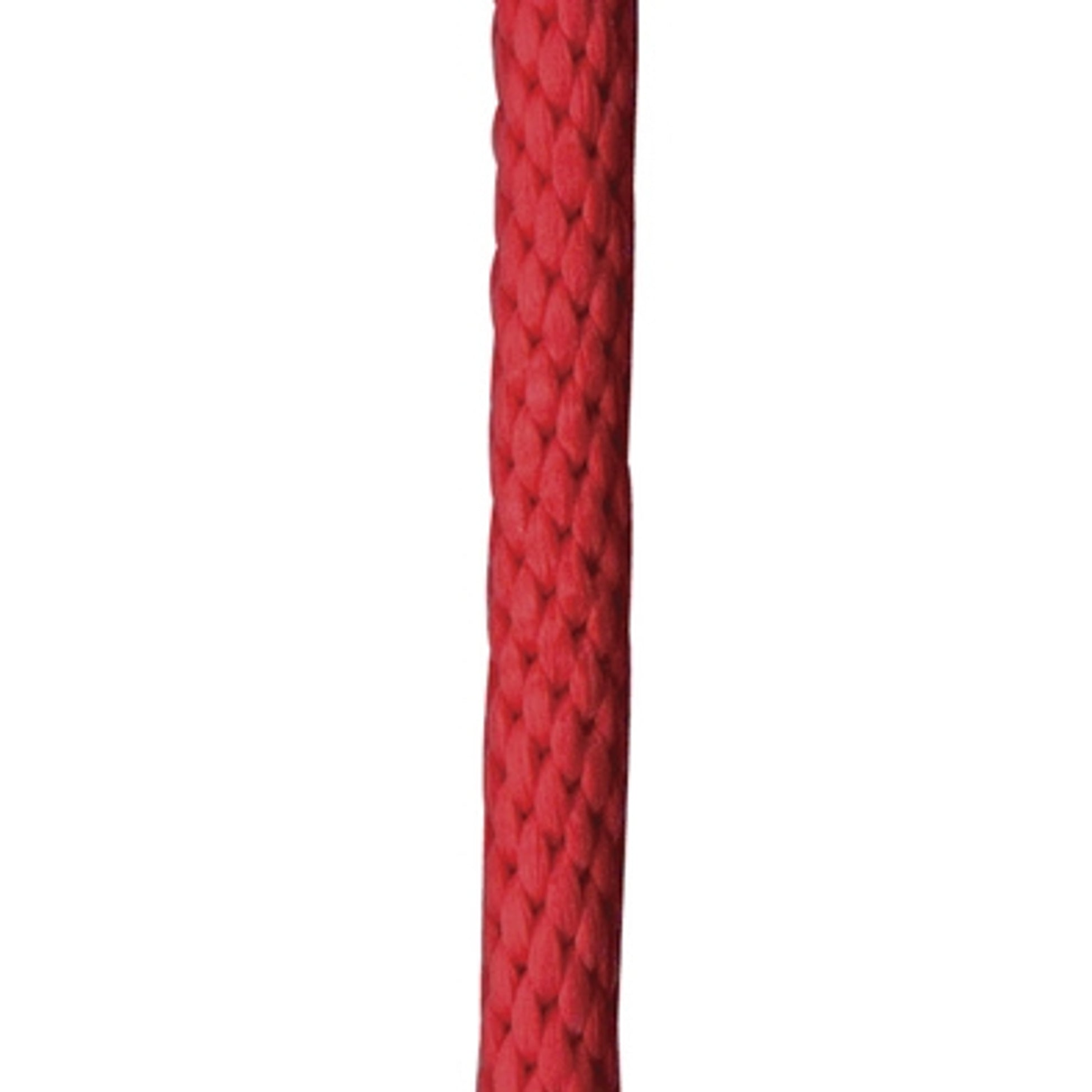 248250.jpg