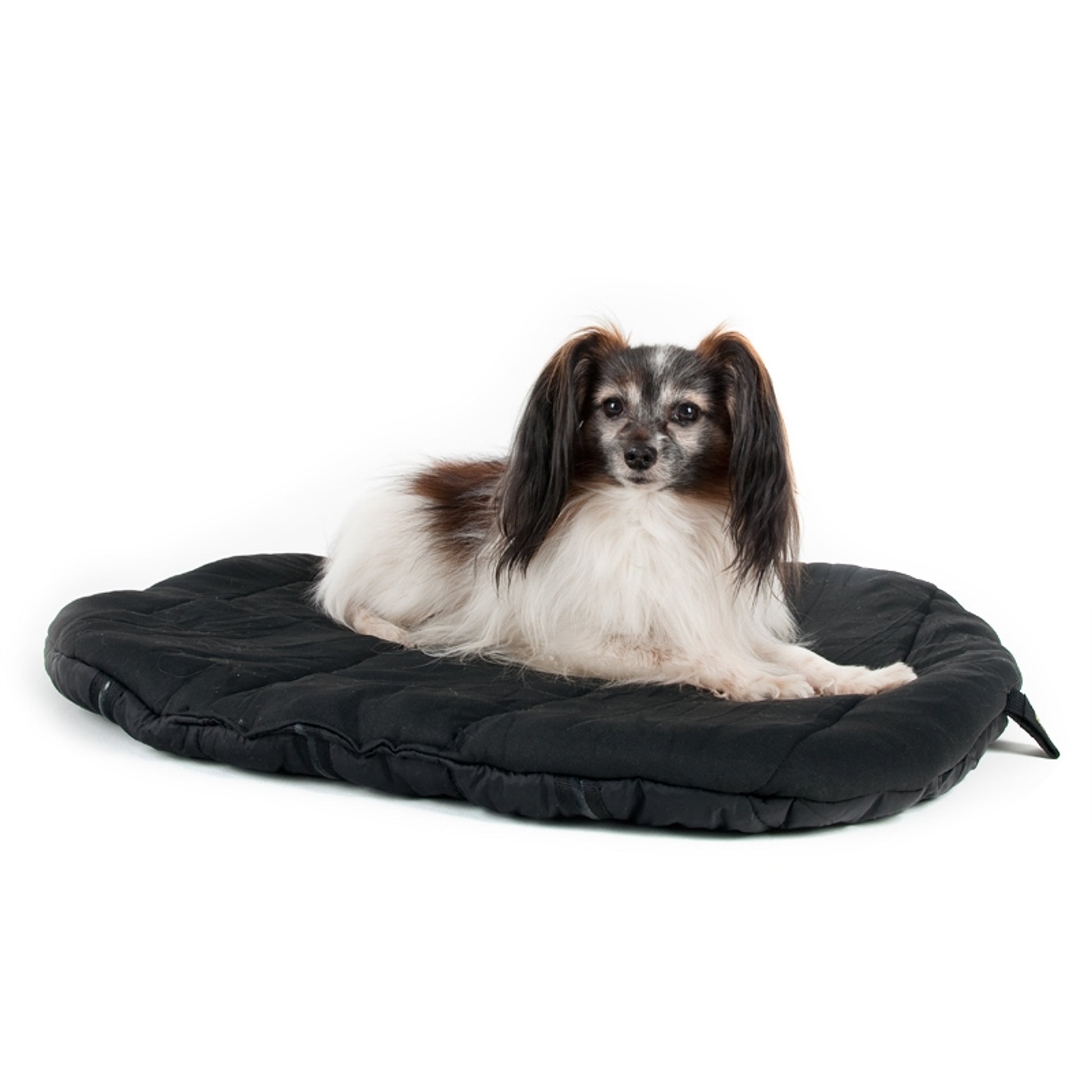 3031_dogtravelmattress_1_web.jpg
