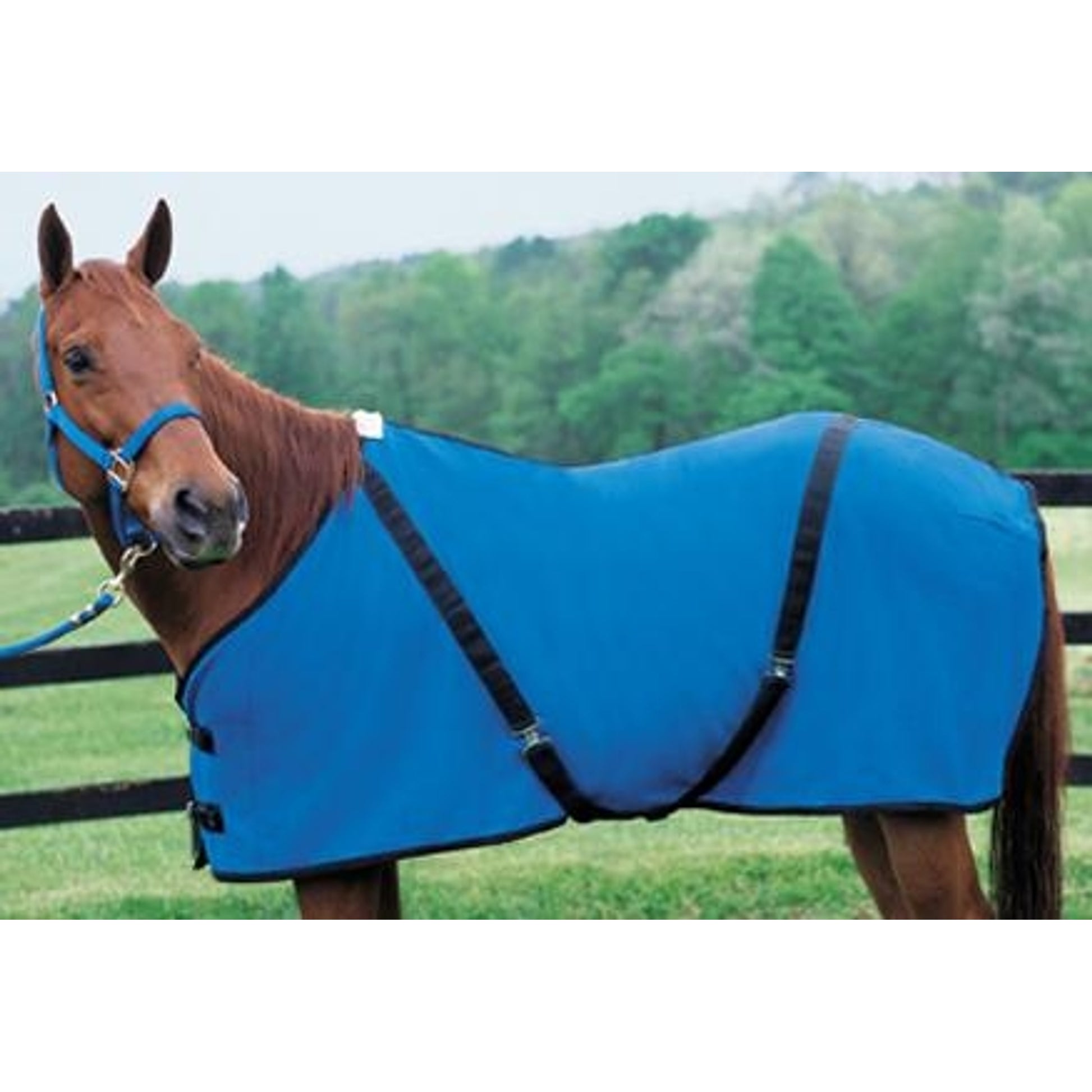 351500_blue.jpg