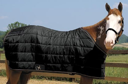 351511_black.jpg