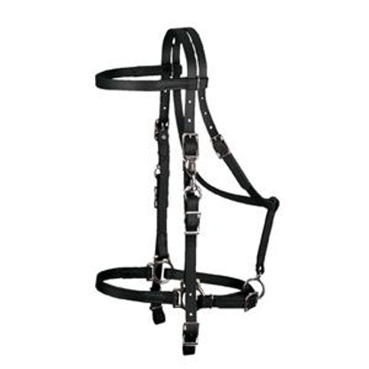 352070_black.jpg