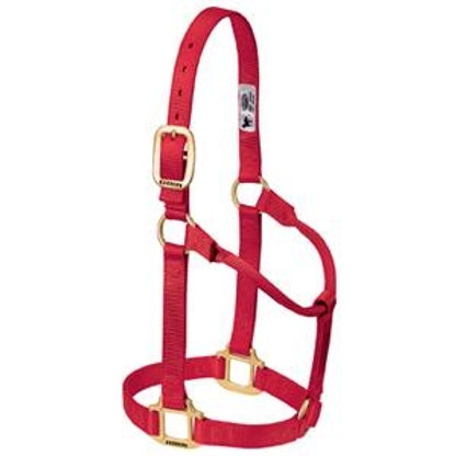 357005_red.jpg