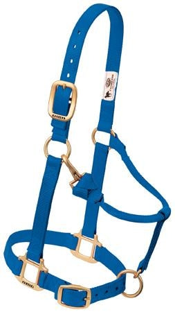 357035_blue.jpg