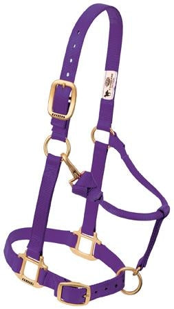 357035_purple.jpg
