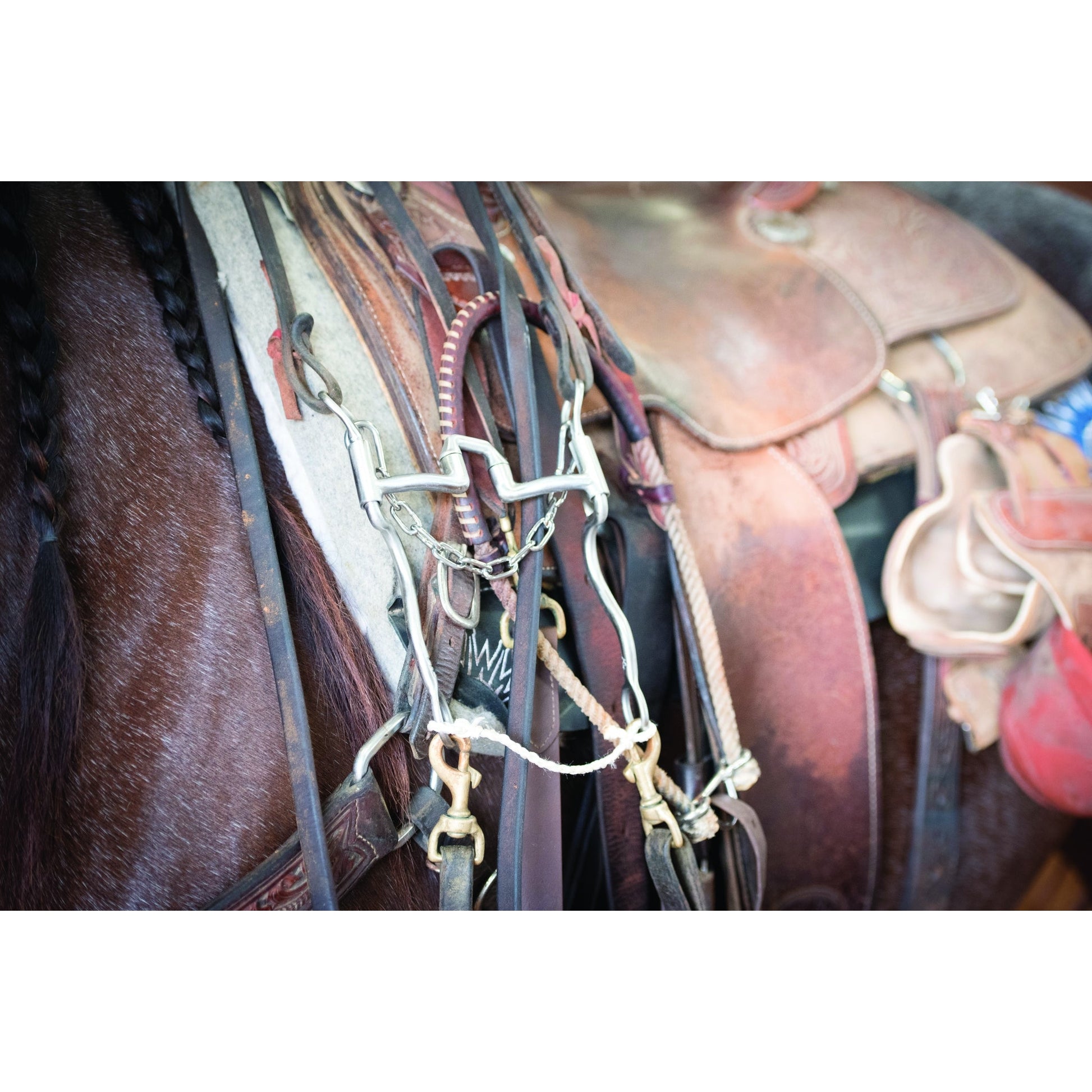 Wildfire Saddlery Medium Link Curb Chain 9"L Stain