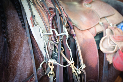 Wildfire Saddlery Medium Link Curb Chain 9"L Stain