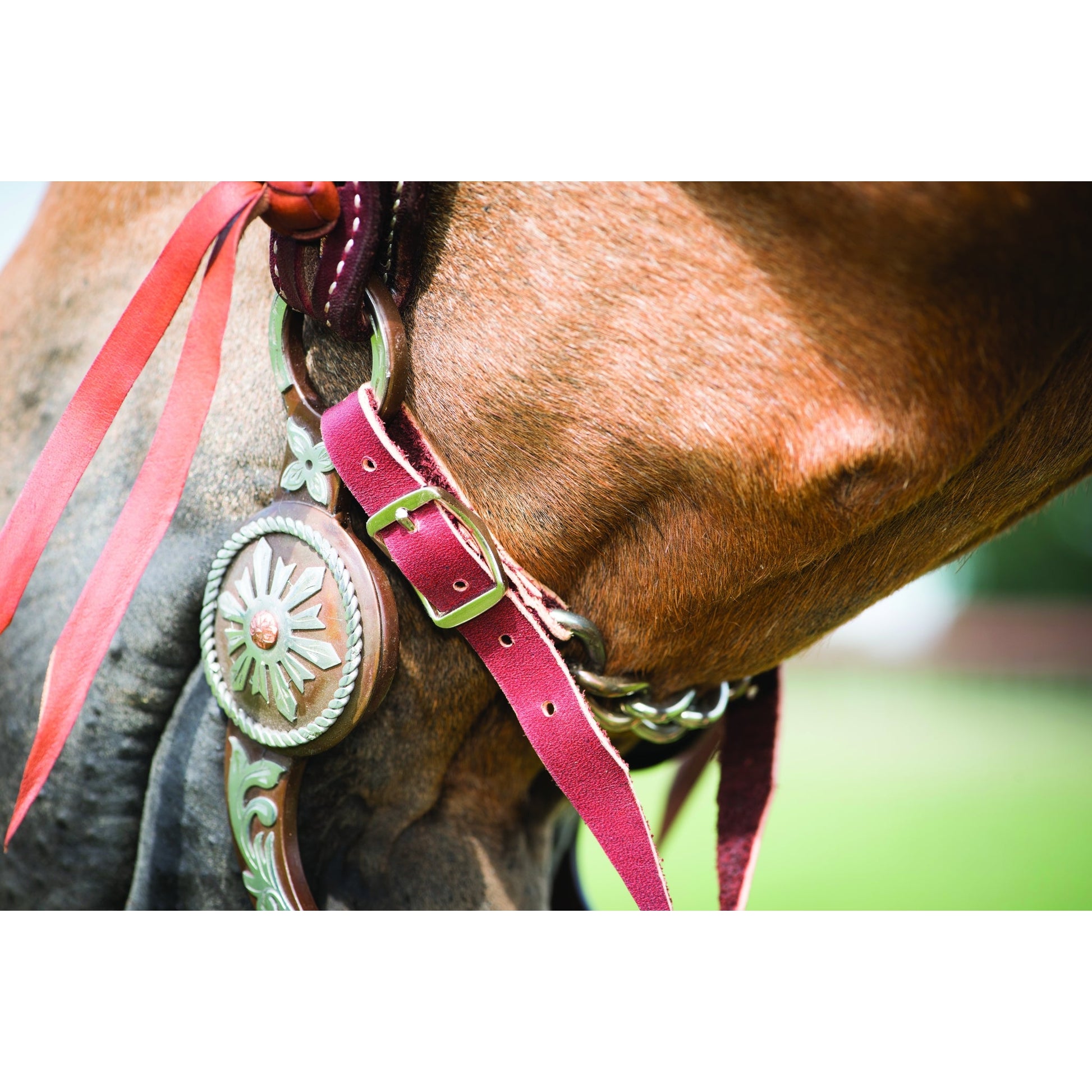 Wildfire Saddlery Medium Link Curb Chain 9"L Stain