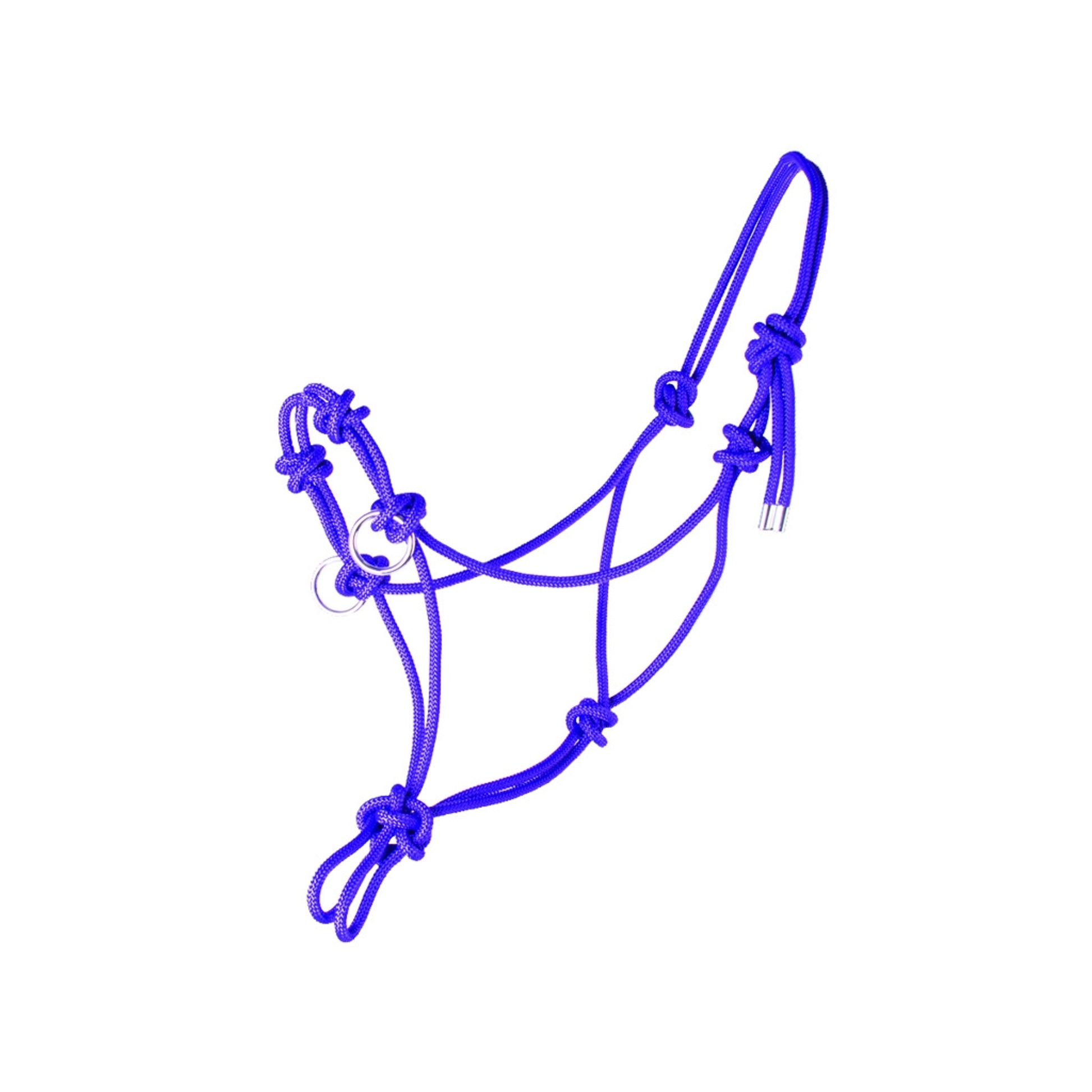 4-103498-pp.jpg