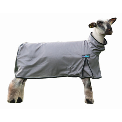 Weaver ProCool Sheep Blanket with Reflective Piping