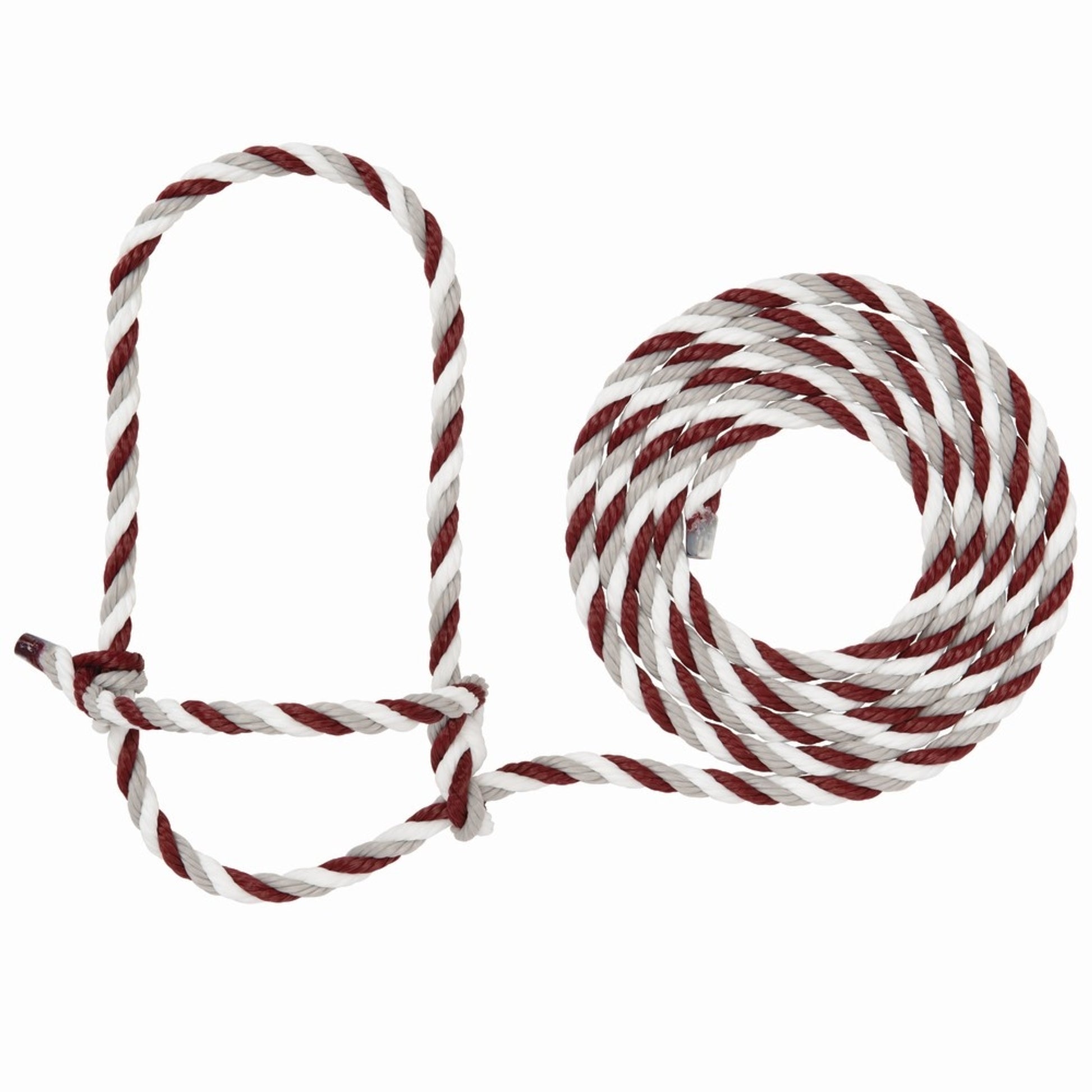 4-121102.jpg