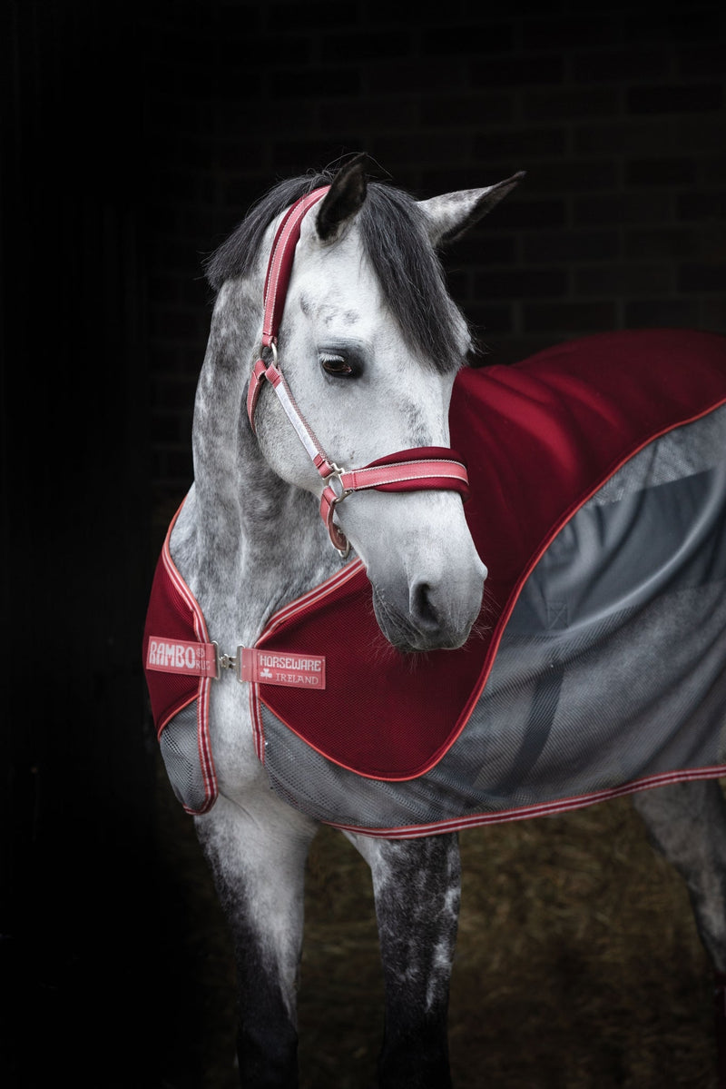 Horseware Fashion Airmesh Halter Cob Redwood