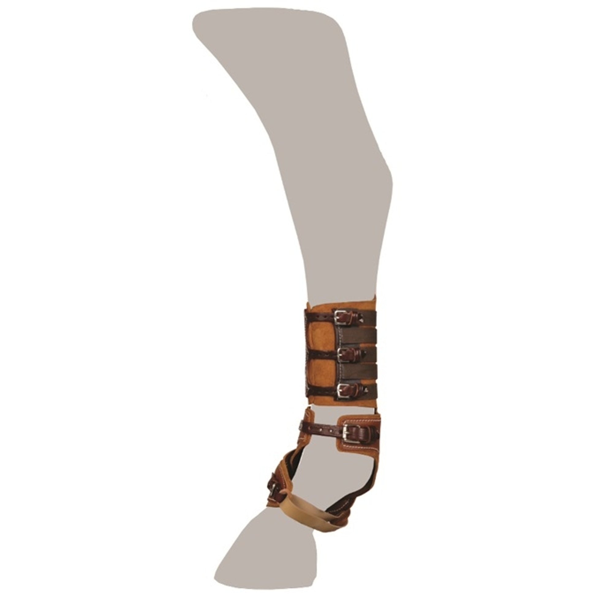 4-211273-c.jpg