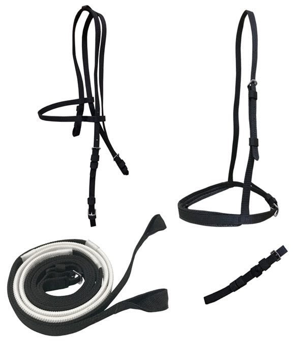 Jacks Ultra Race Bridle Set with Loop Reins