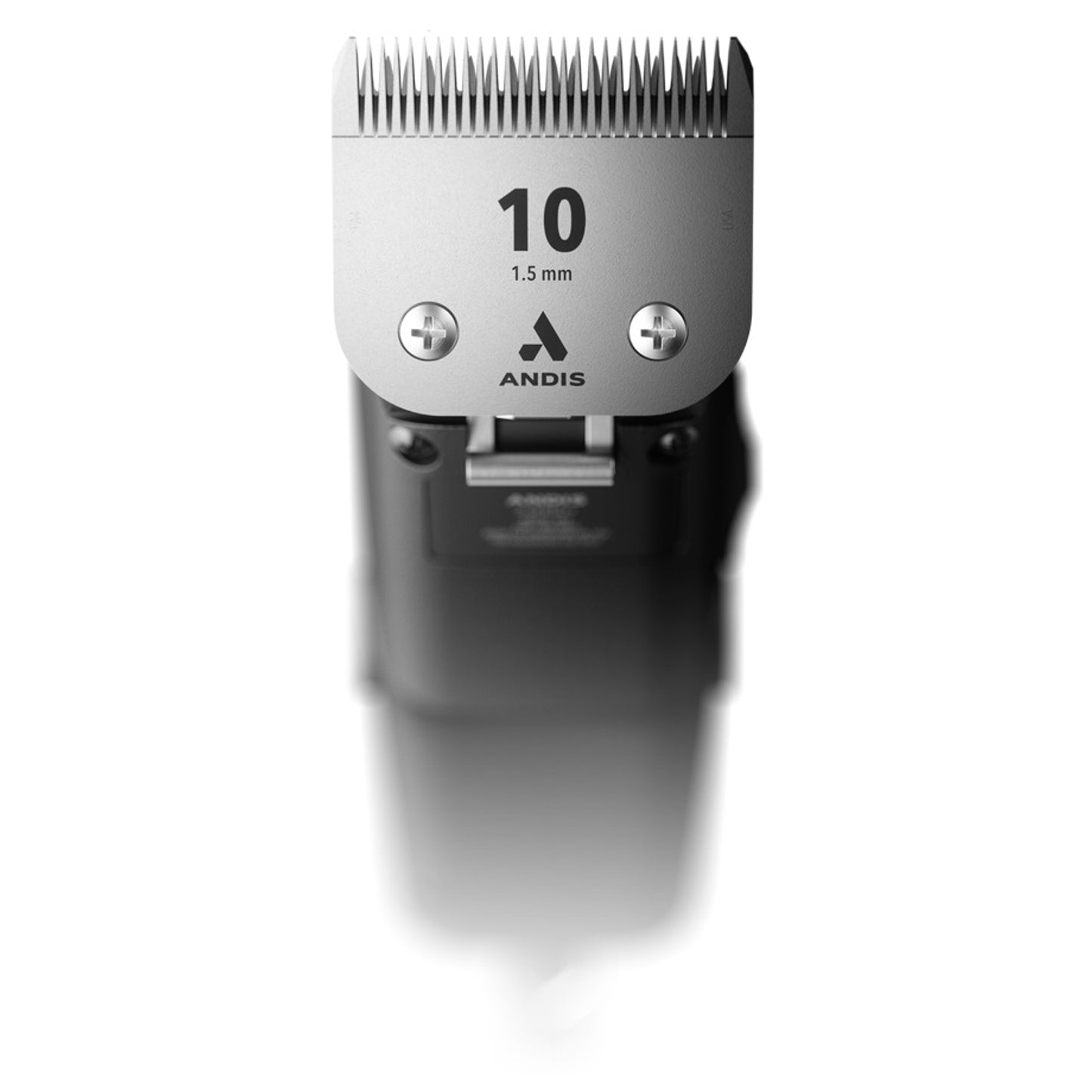 4-230767-c.jpg