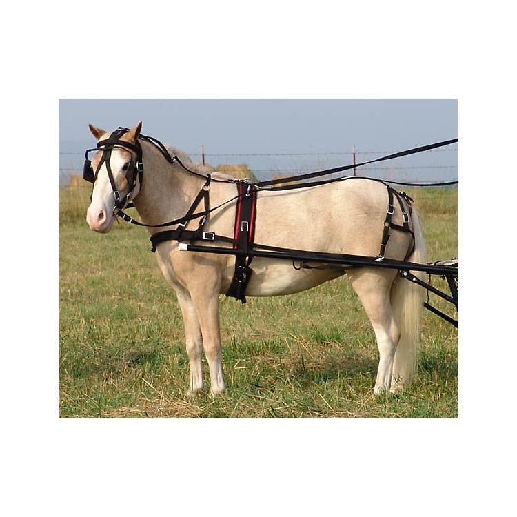 Ozark Mini/Pony Nylon Driving Harness