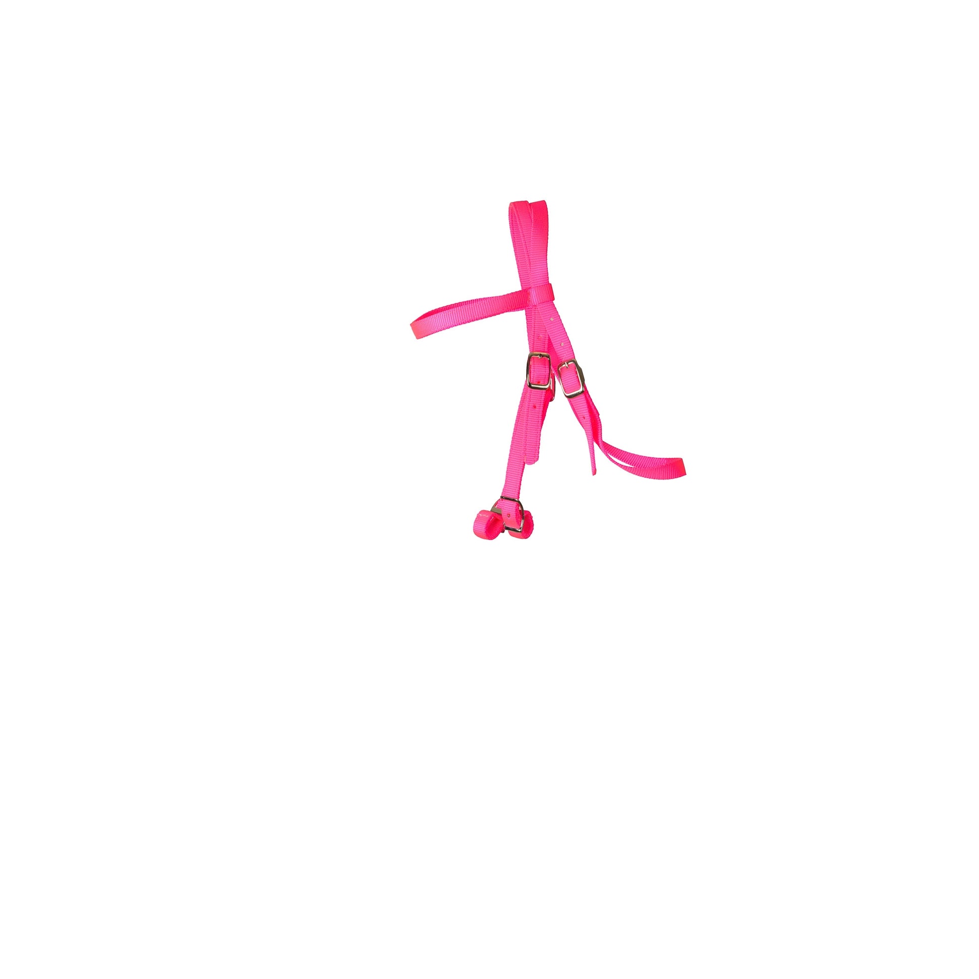 4-233728.jpg