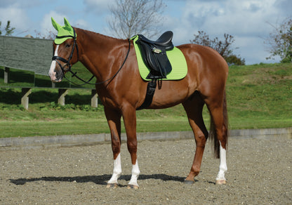 4-247499-b.jpg