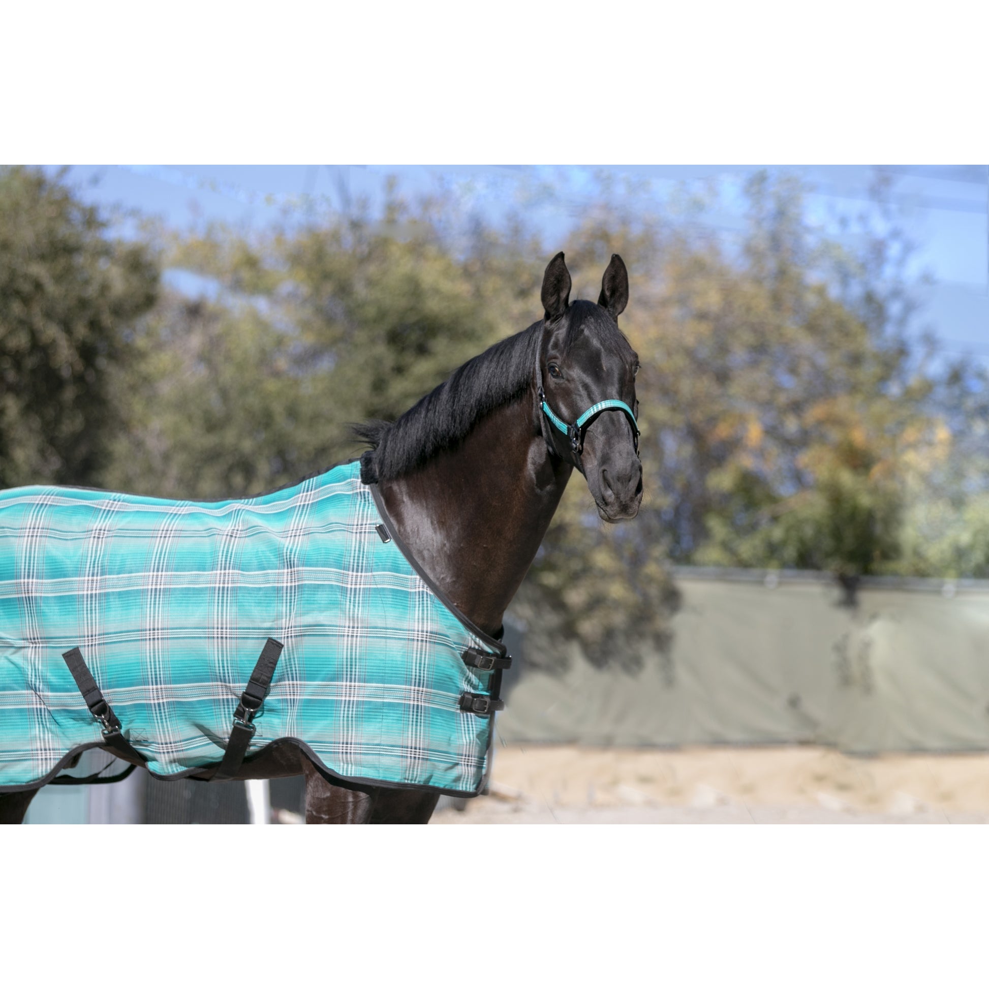 Kensington 73% UV Protective Fly Sheet