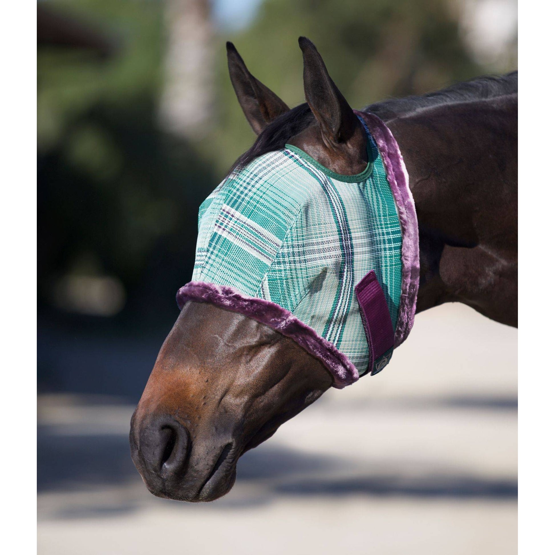 Kensington Fly Mask with Fleece Trim