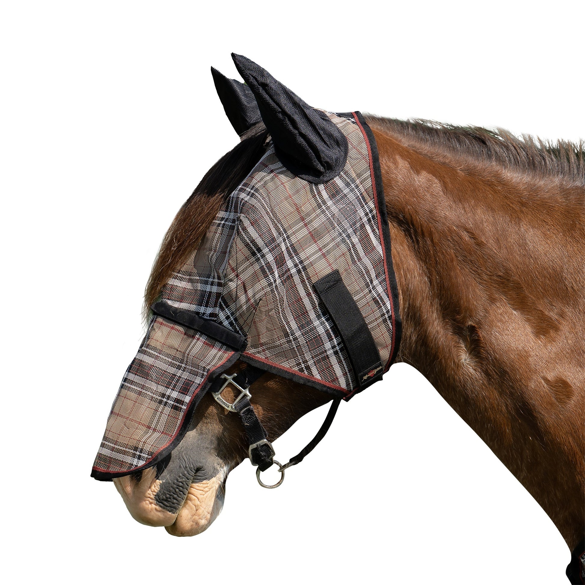 Kensington Mask with Nose and Ears