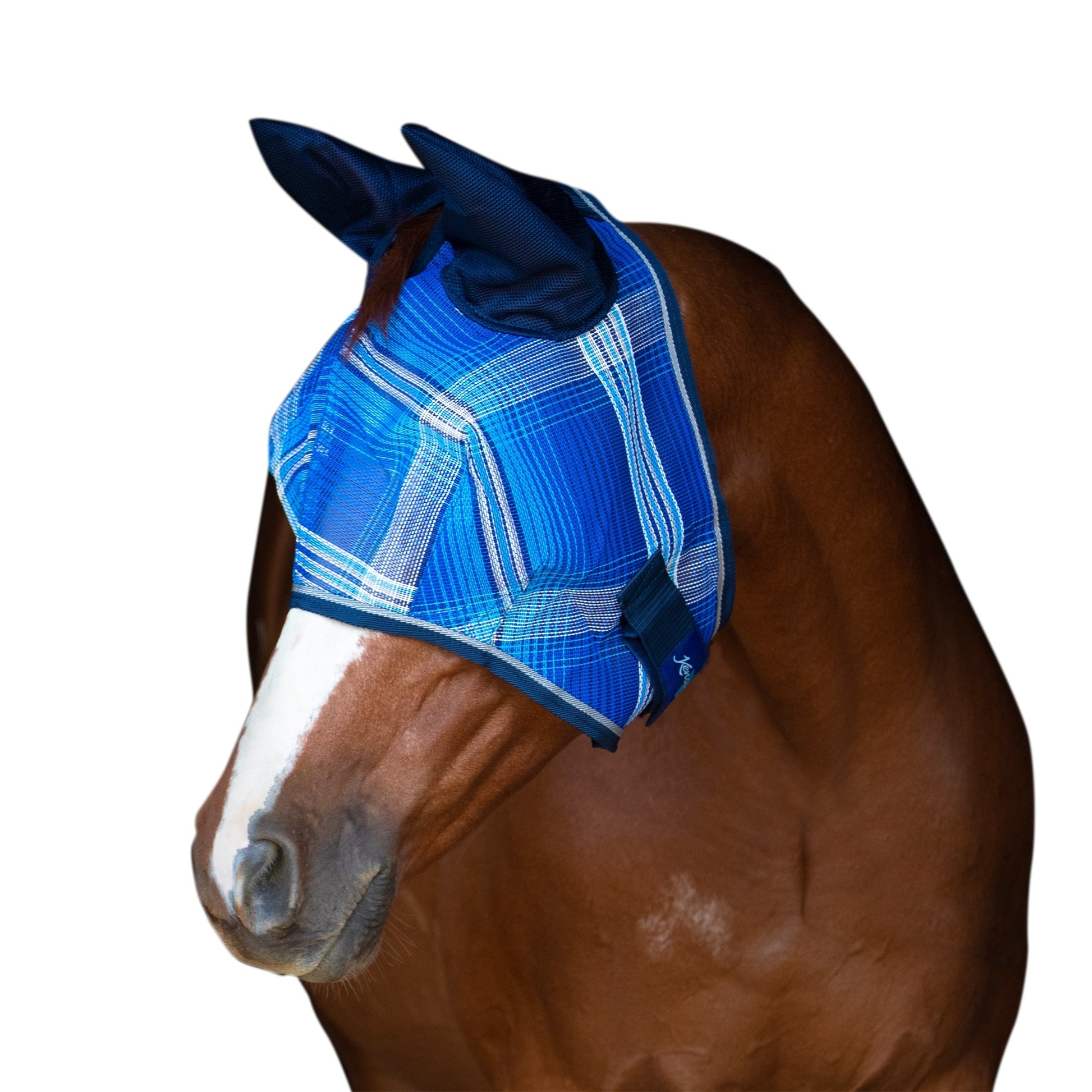 Kensington Fly Mask Web Trim/Ears