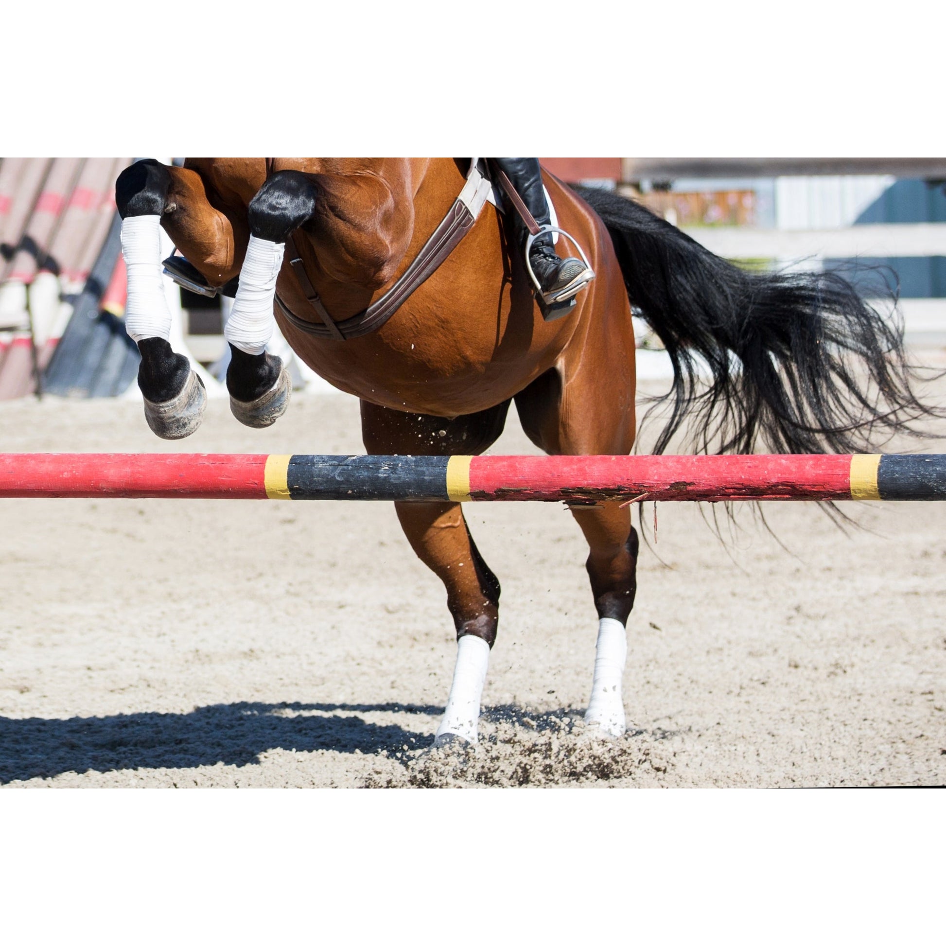 Saratoga Bandages (12 Foot - 2 Pack) Warmblood Bla