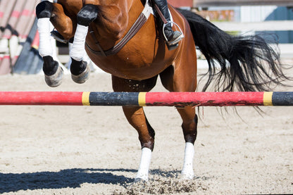 Saratoga Bandages (12 Foot - 2 Pack) Warmblood Bla