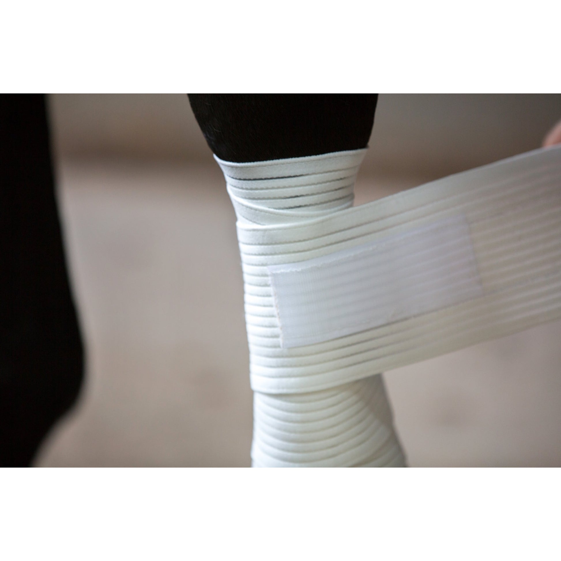 Saratoga Bandages (12 Foot - 2 Pack) Warmblood Bla
