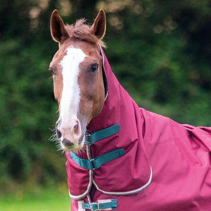 Shires Tempest Org 200g Hood