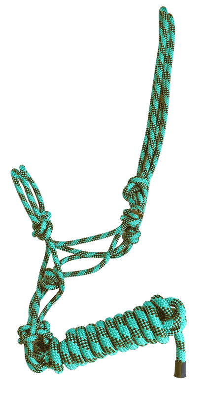 4-288731.jpg