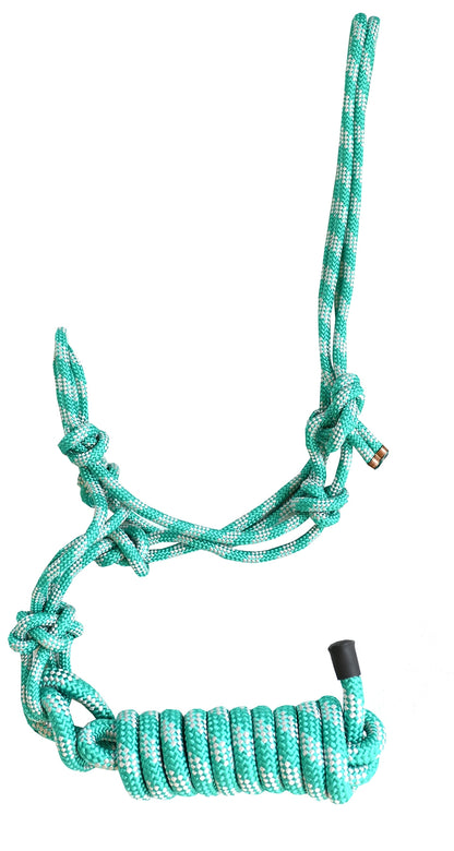 4-288734.jpg