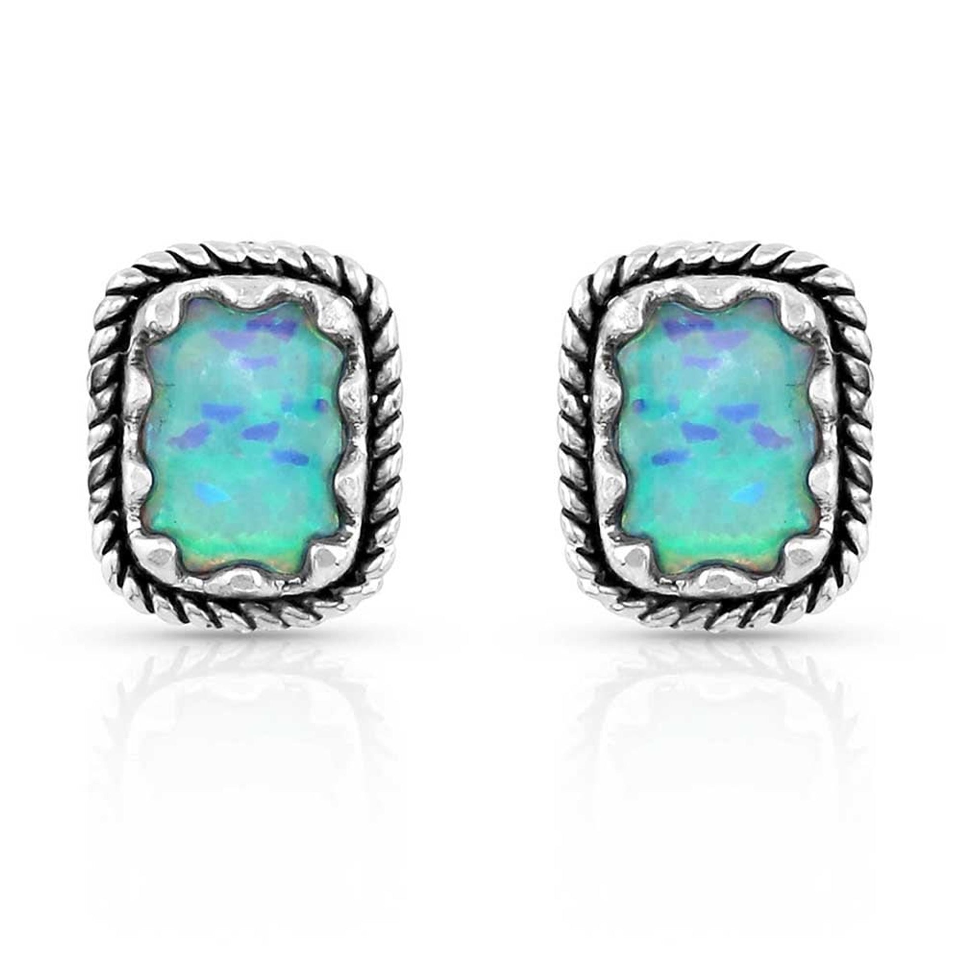 Montana Silversmiths Emerald Pools Roped Silver Earrings