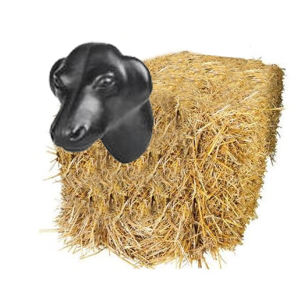 4-294777hay.jpg