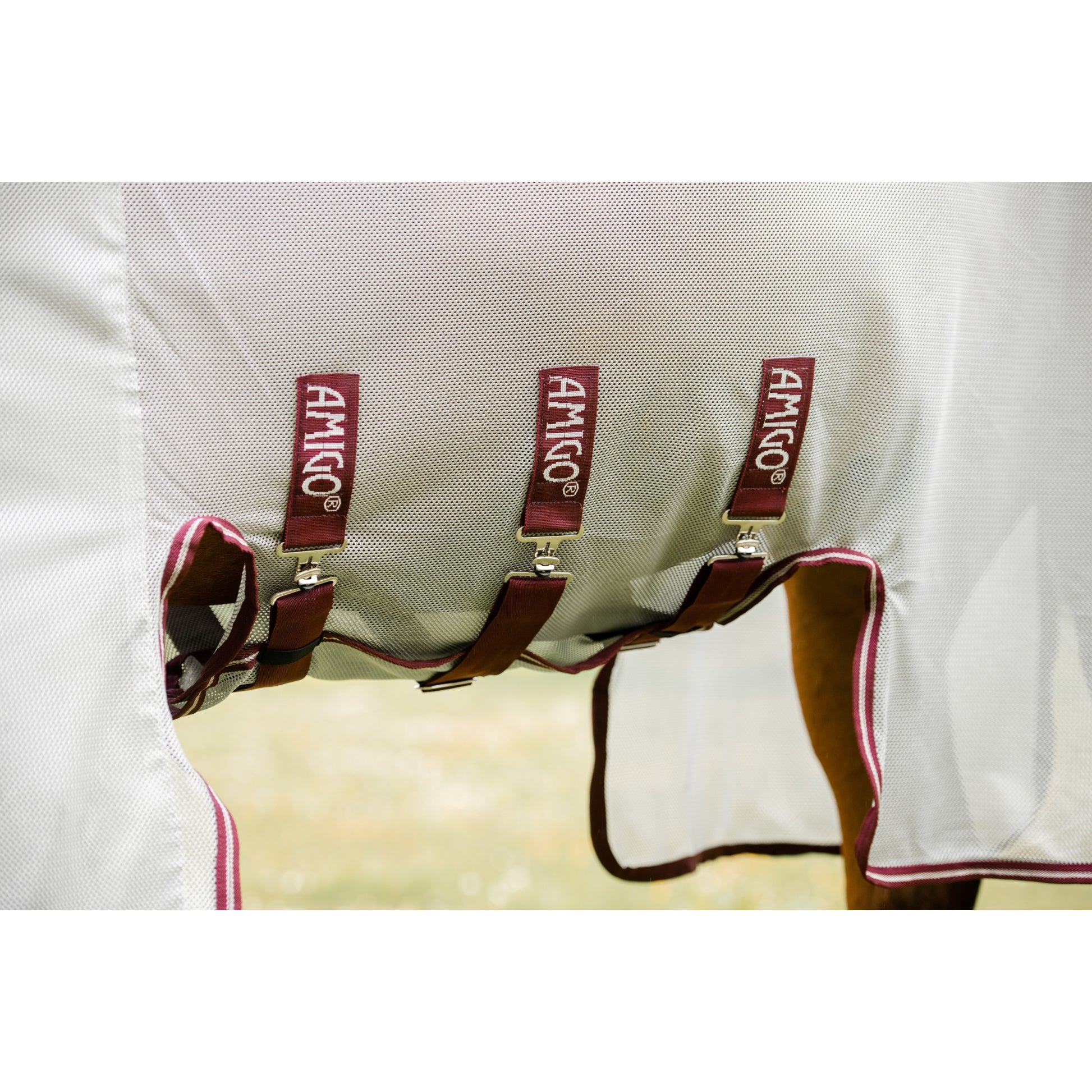 4-295849-b.jpg